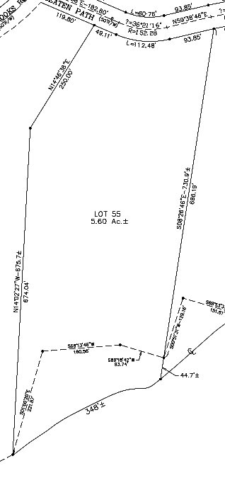 Lot 55